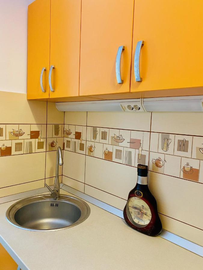 Calea Victoriei Studio Appartamento Bucarest