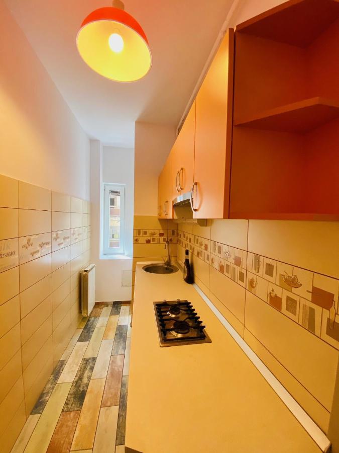 Calea Victoriei Studio Appartamento
