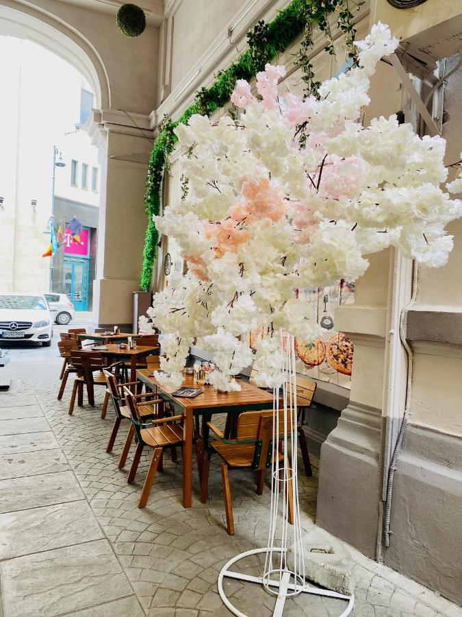 Calea Victoriei Studio Apartment Bucharest
